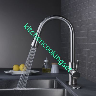 Choisissez le robinet moderne d'évier de poignée avec l'anti représentation forte de bactérie